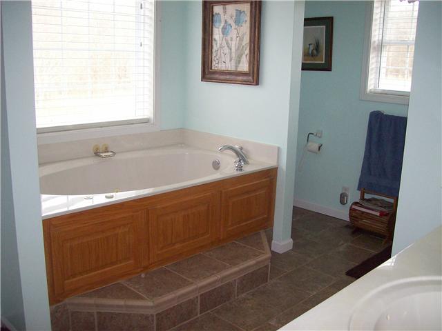 2889 She Boss Road Duck River, TN 38454 - Photo 8 of 20 master bath