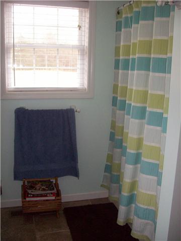 2889 She Boss Road Duck River, TN 38454 - Photo 9 of 20 Master bath w/his and her walk in closets.