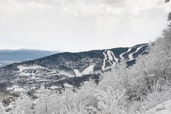 $339,000 | 3076 Kidd Court, Unit 14, McGaheysville, VA 22840