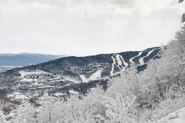 $339,000 | 3076 Kidd Court, Unit 14, McGaheysville, VA 22840