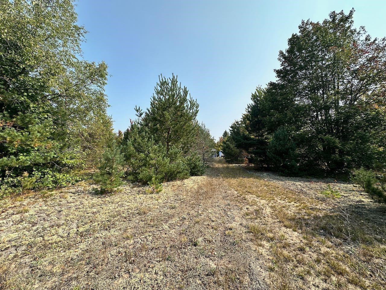 2519 Lee Derrer Road Mancelona, MI 49659 - Photo 13 of 42 Gallery Image 13