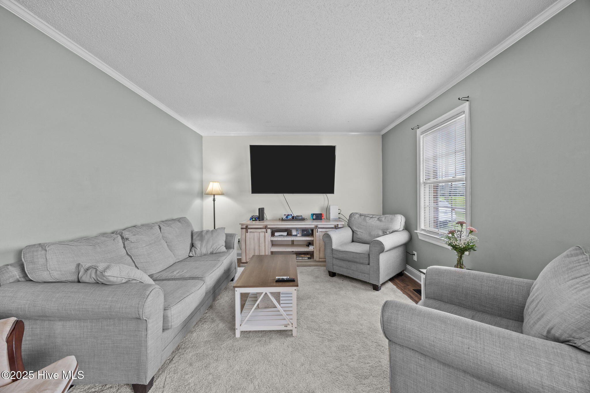 6407 Clarks Neck Road Washington, NC 27889 - Photo 19 of 53 LIVING ROOM