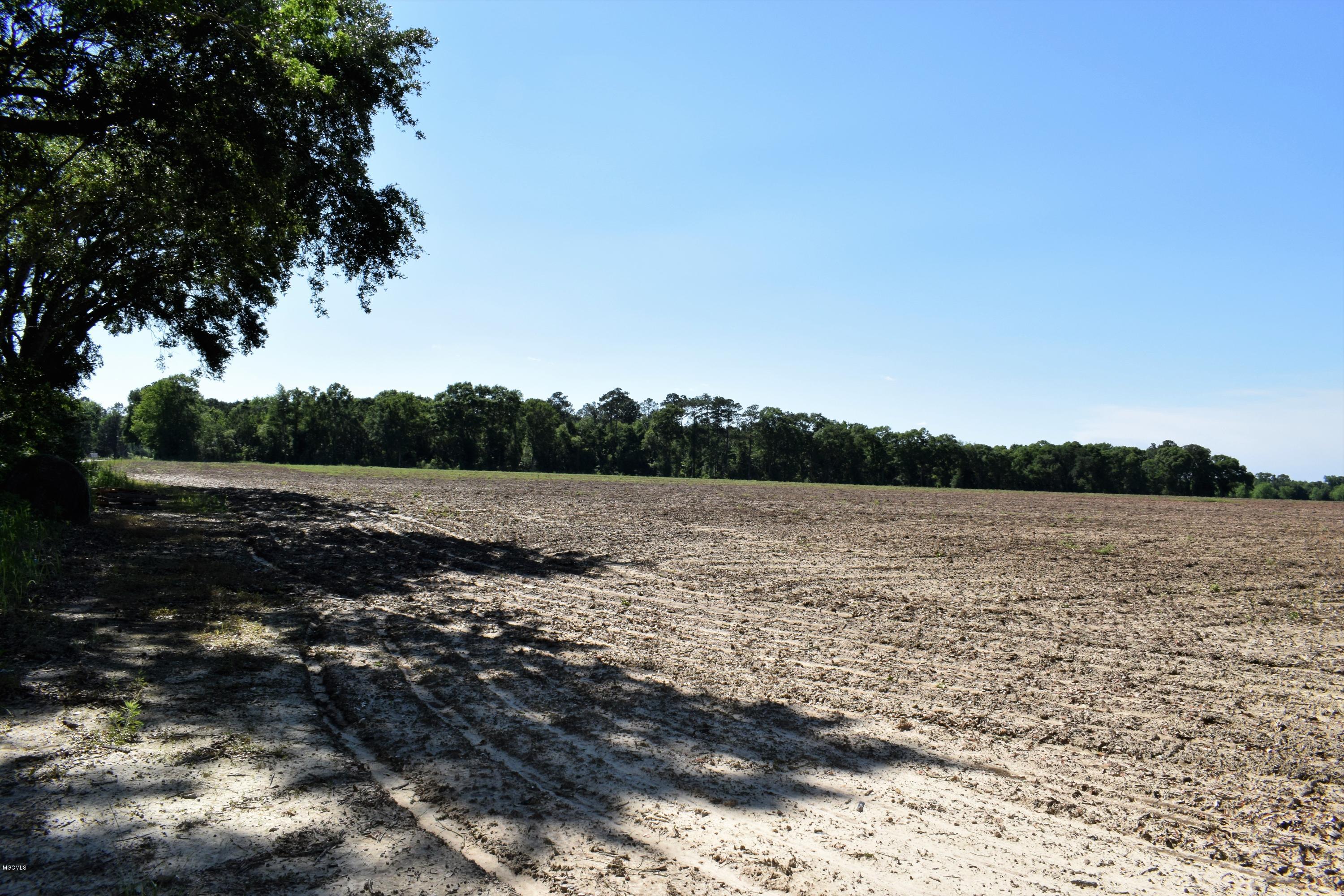 47-ac Basin School Road Lucedale, MS 39452 - Photo 2 of 4 LAND
