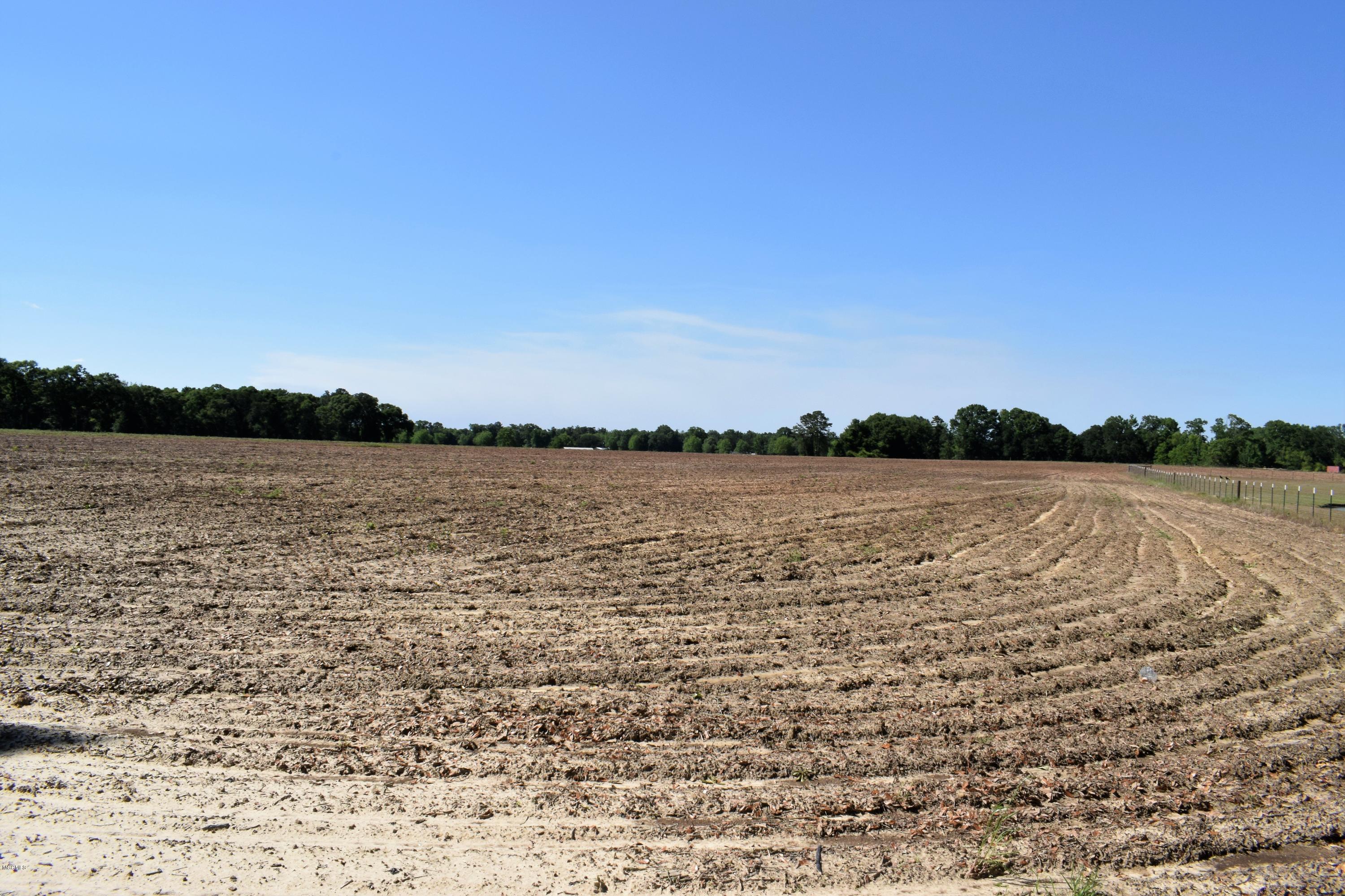 47-ac Basin School Road Lucedale, MS 39452 - Photo 3 of 4 LAND