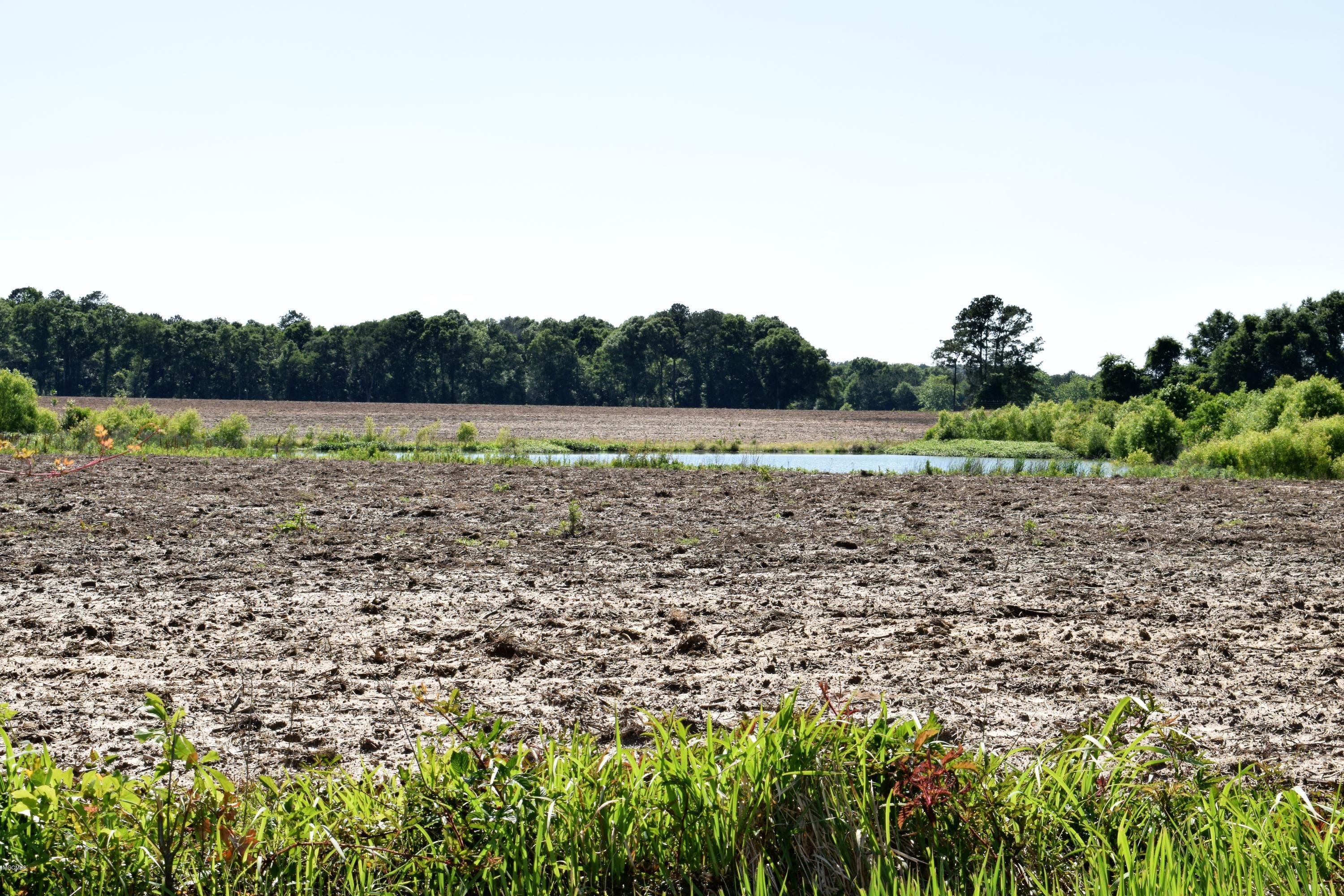 47-ac Basin School Road Lucedale, MS 39452 - Photo 4 of 4 LAND