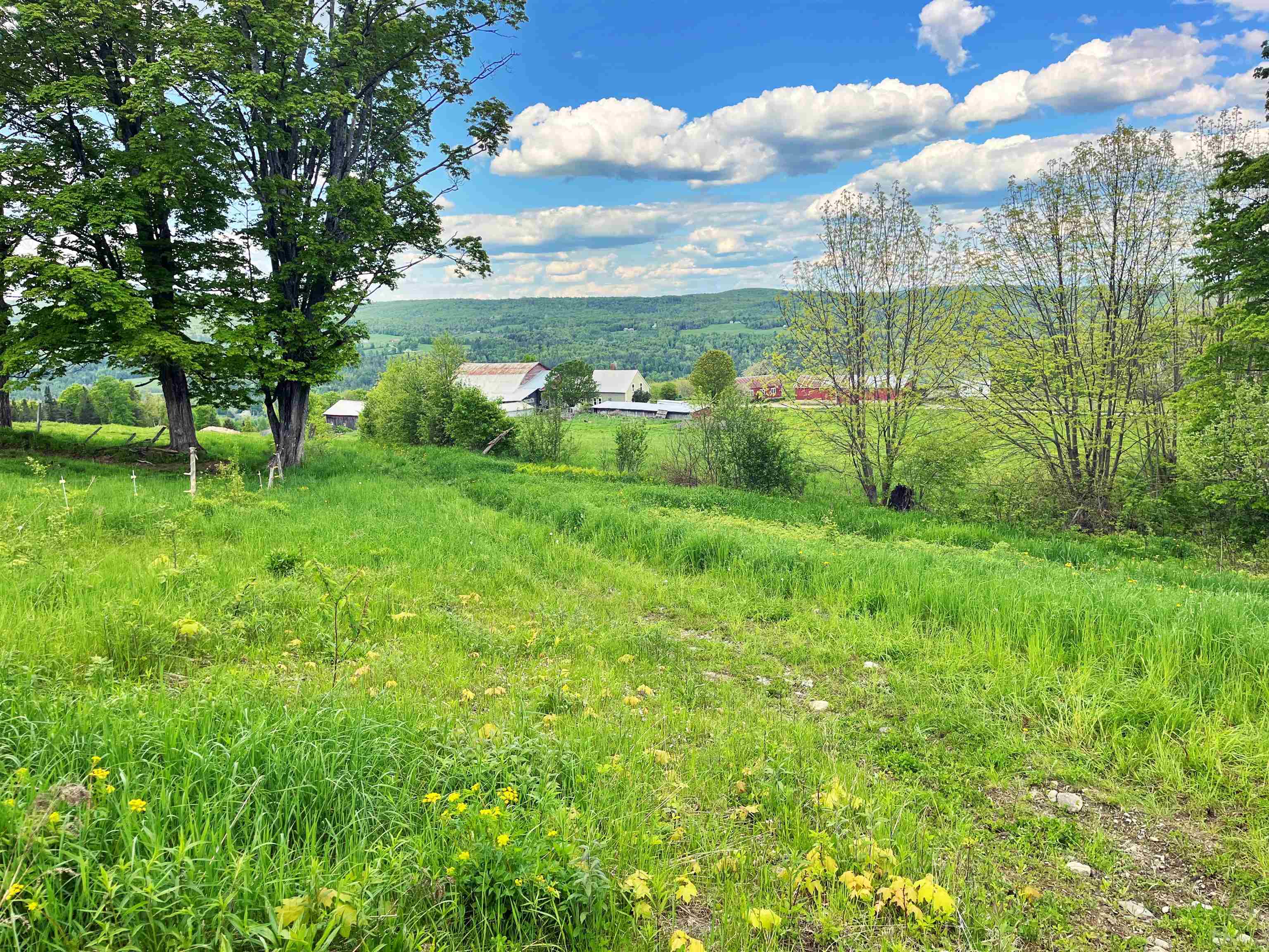 1275 Chesley Hill Road Wheelock, VT 05851 - Photo 1 of 60 Gallery Image 1