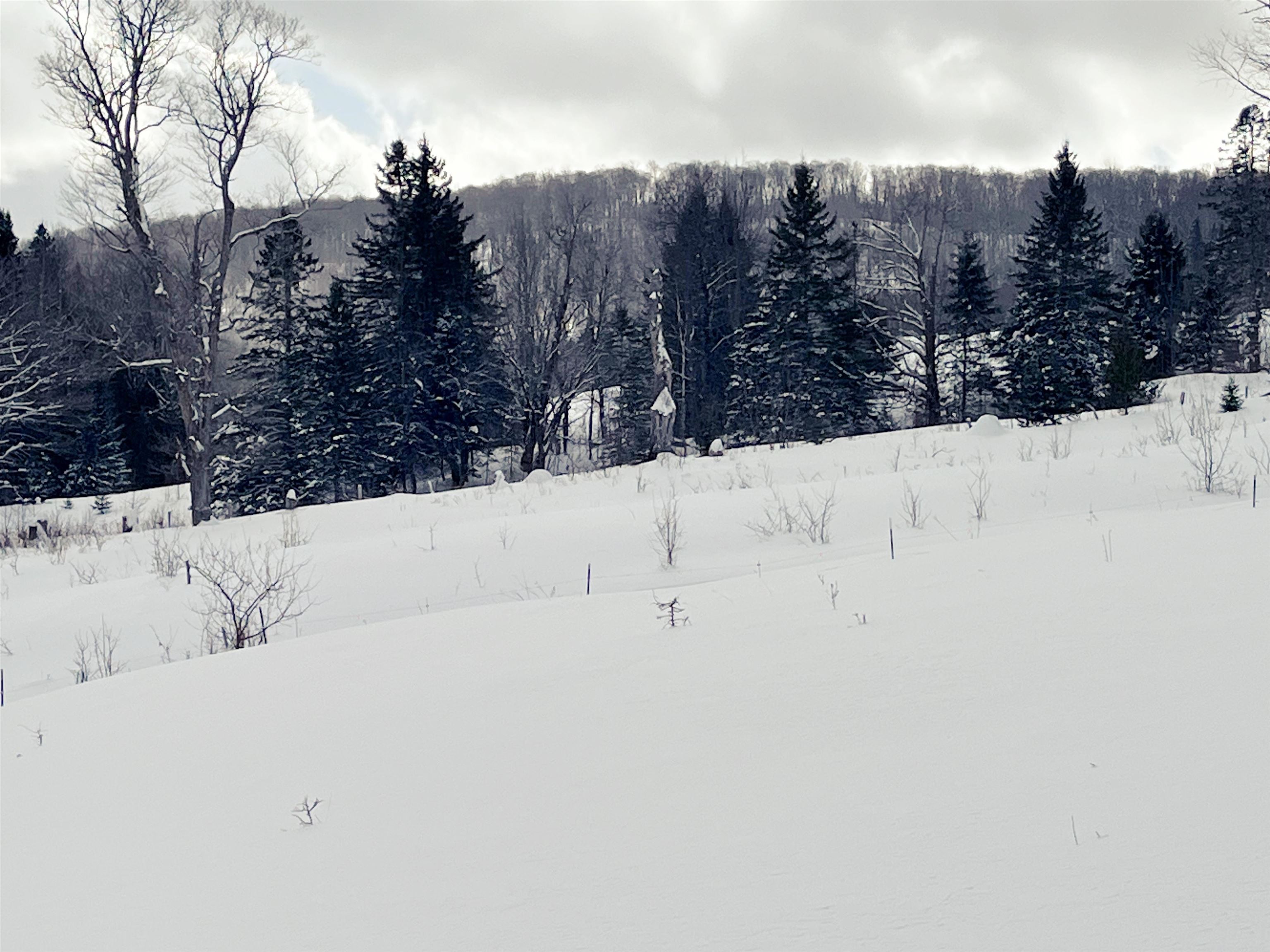 1275 Chesley Hill Road Wheelock, VT 05851 - Photo 26 of 60 Gallery Image 26