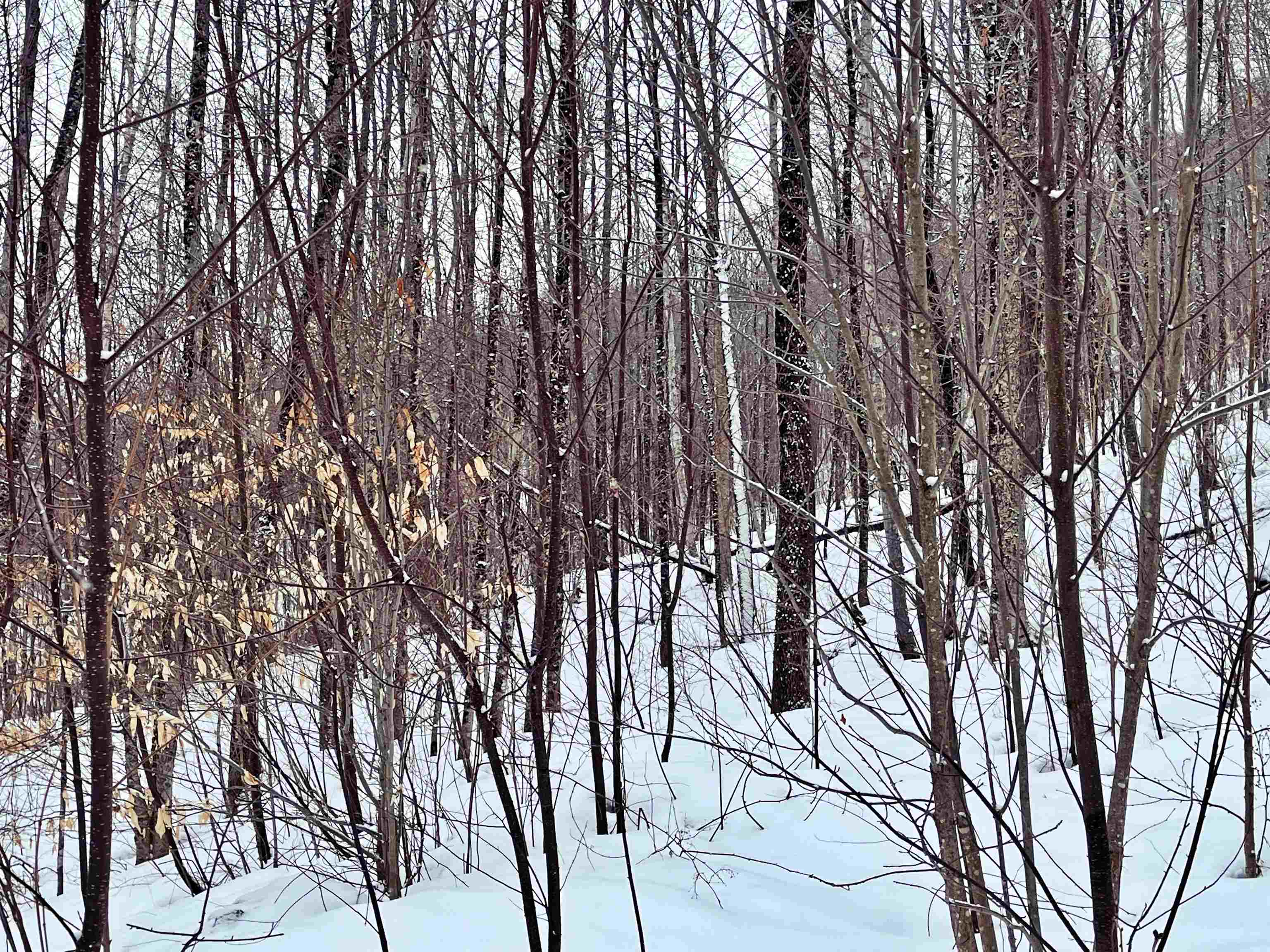 1275 Chesley Hill Road Wheelock, VT 05851 - Photo 37 of 60 Gallery Image 37