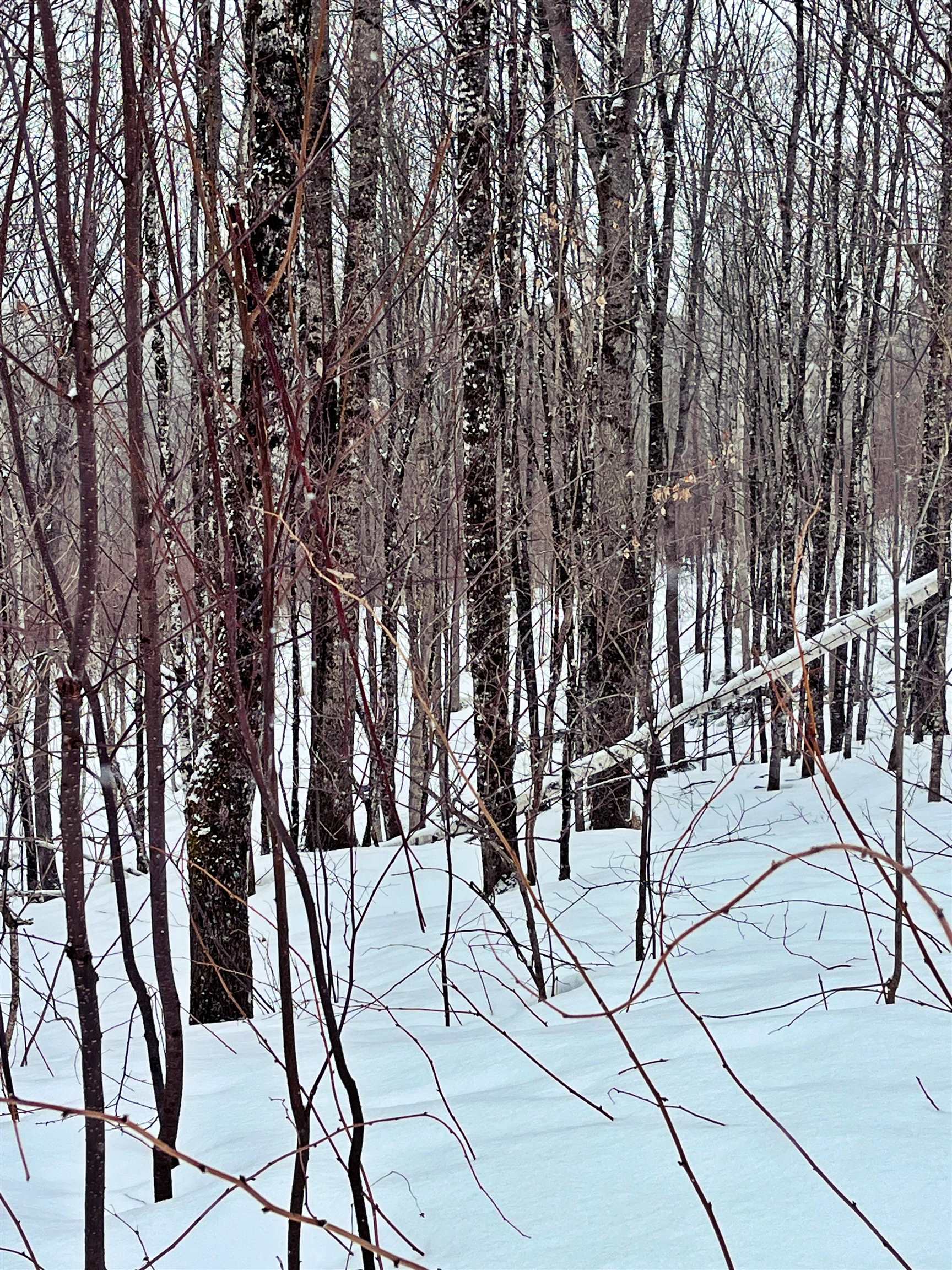 1275 Chesley Hill Road Wheelock, VT 05851 - Photo 38 of 60 Gallery Image 38