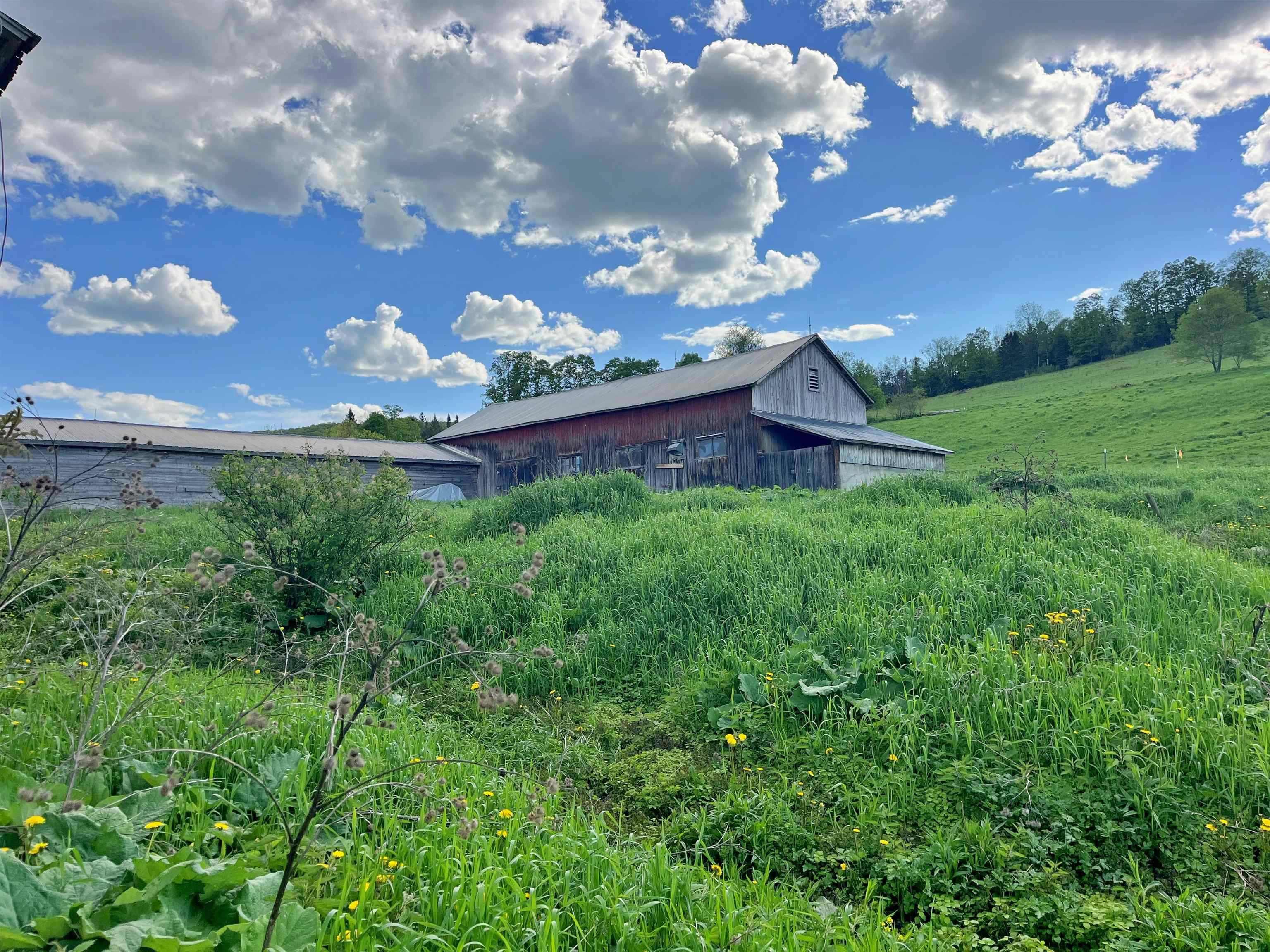 1275 Chesley Hill Road Wheelock, VT 05851 - Photo 5 of 60 Gallery Image 5
