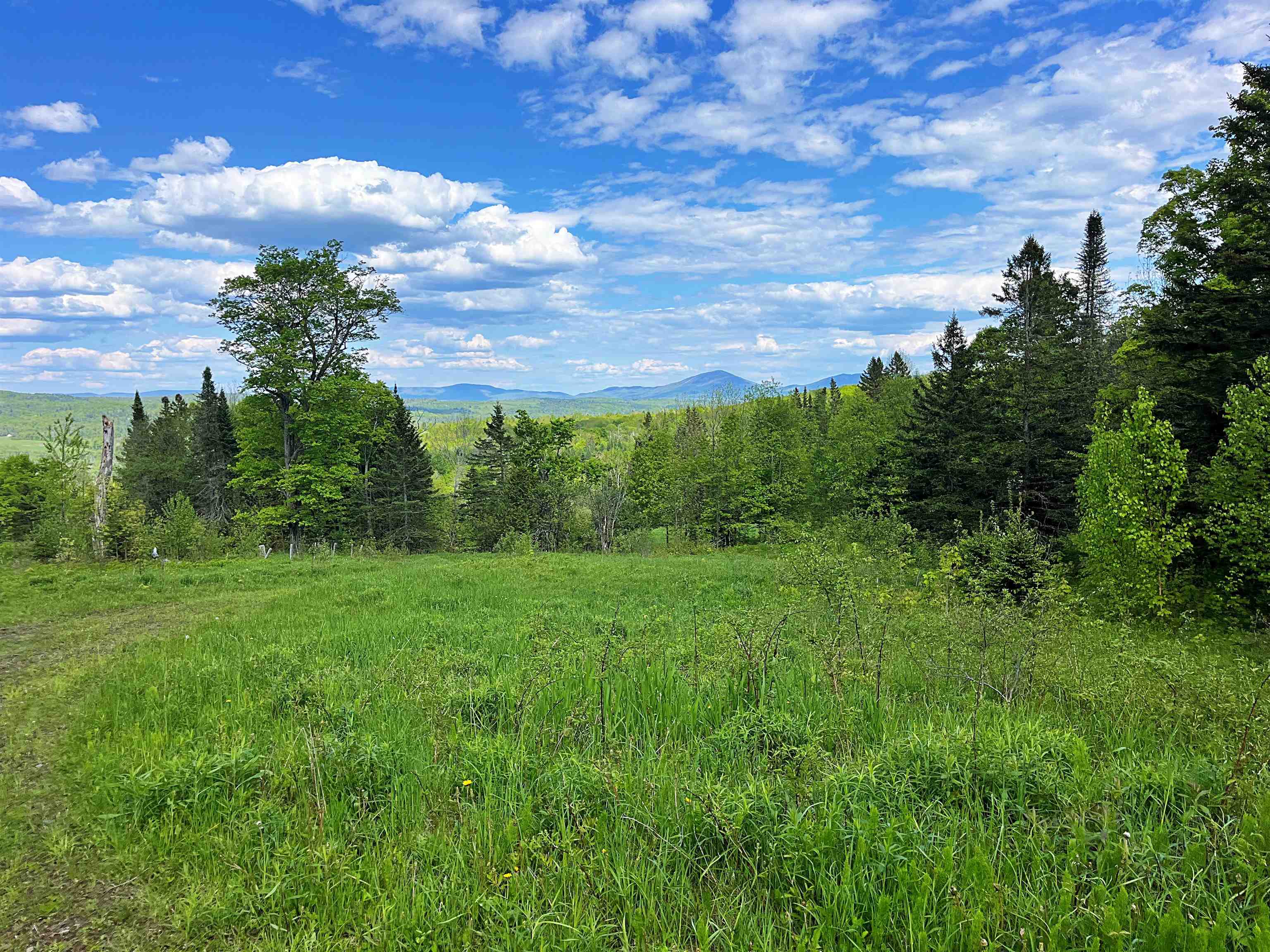 1275 Chesley Hill Road Wheelock, VT 05851 - Photo 9 of 60 Gallery Image 9