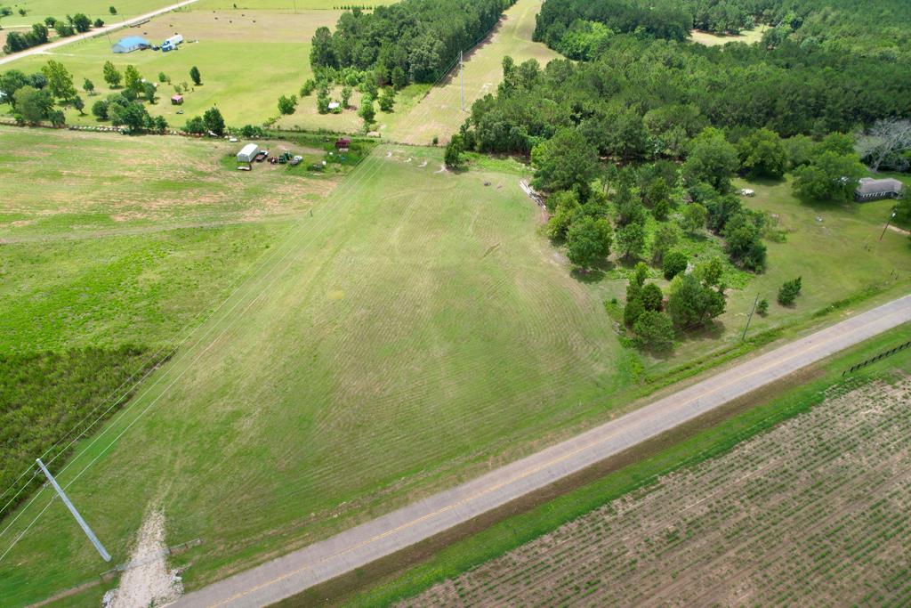490 Bill Yance Road Webb, AL 36376 - Photo 5 of 10
