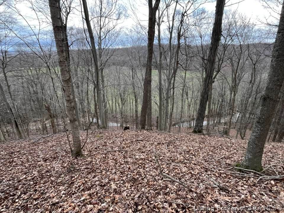 Fields Road Vallonia, IN 47281 - Photo 11 of 14