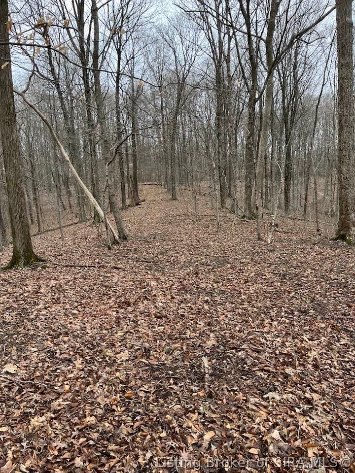 Fields Road Vallonia, IN 47281 - Photo 12 of 14