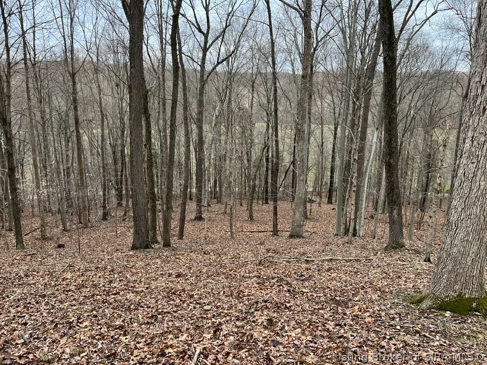 Fields Road Vallonia, IN 47281 - Photo 13 of 14