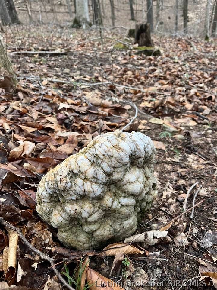 Fields Road Vallonia, IN 47281 - Photo 6 of 14