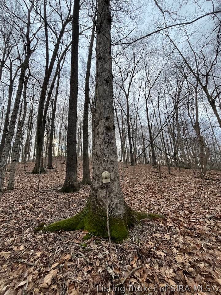 Fields Road Vallonia, IN 47281 - Photo 7 of 14