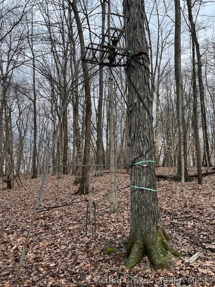 Fields Road Vallonia, IN 47281 - Photo 8 of 14