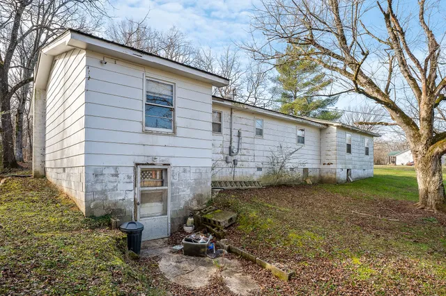 a view of a backyard with plants and large tree