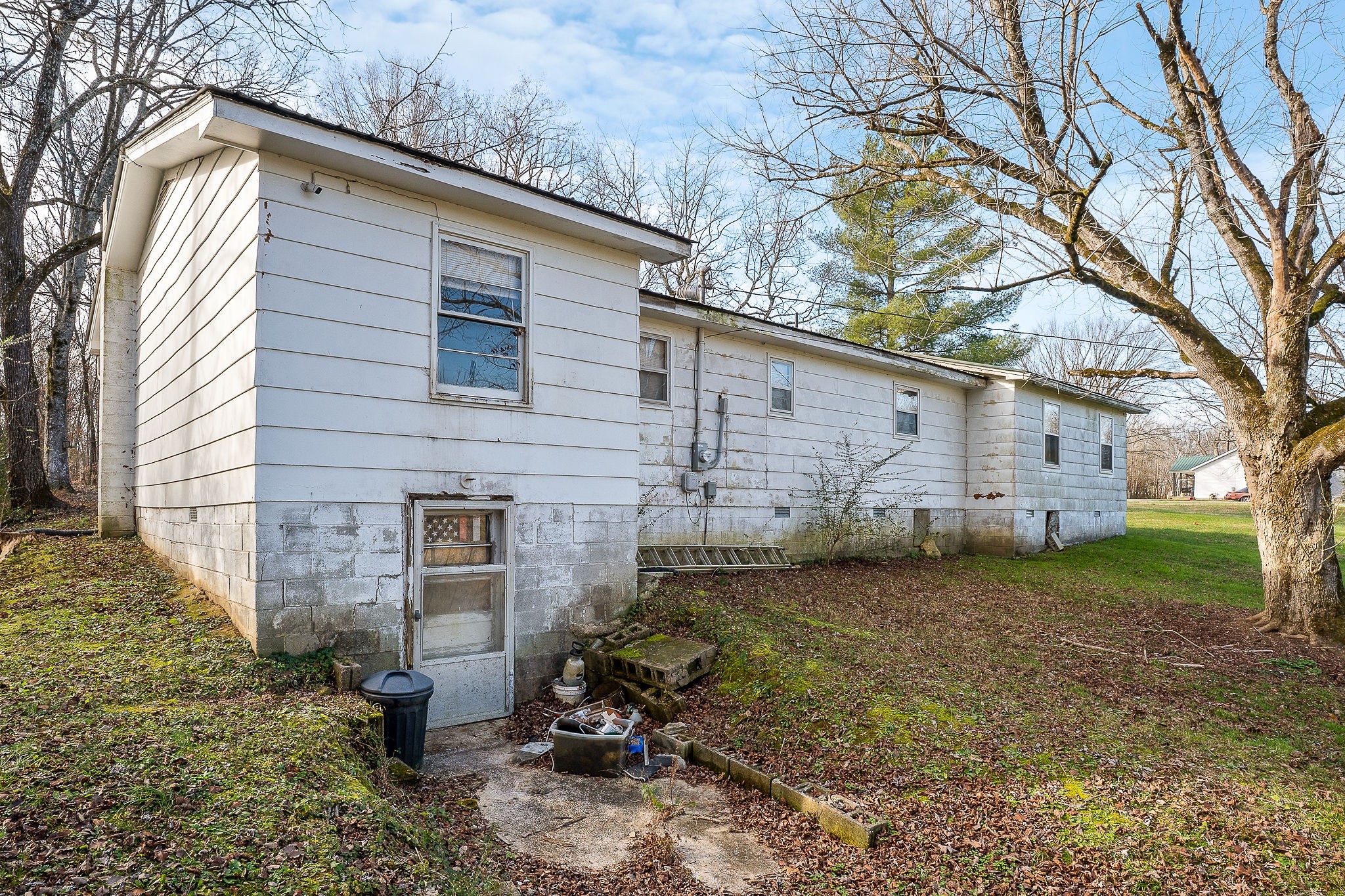 2385 Midway Road Smithville, TN 37166 - Photo 22 of 22 a view of a backyard with plants and large tree