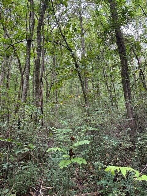 225 Webster Road Whitwell, TN 37397 - Photo 3 of 6 Gallery Image 3