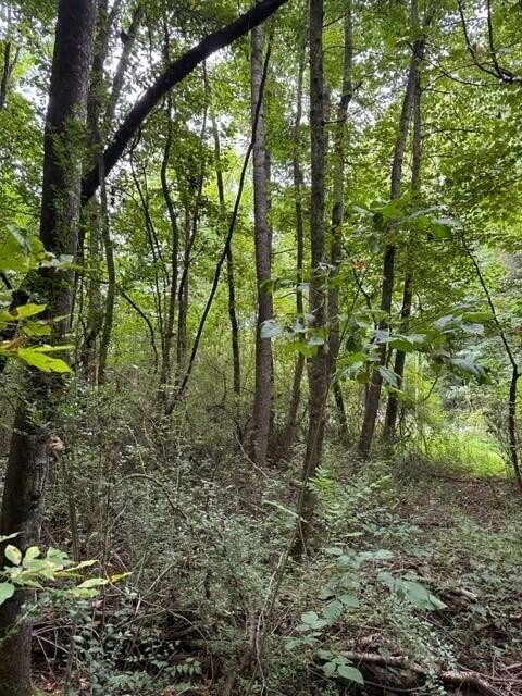 225 Webster Road Whitwell, TN 37397 - Photo 5 of 6 Gallery Image 5