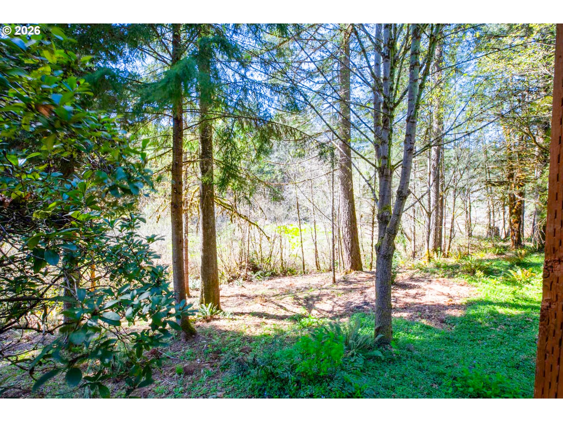 90280 Baker Road Elmira, OR 97437 - Photo 16 of 24