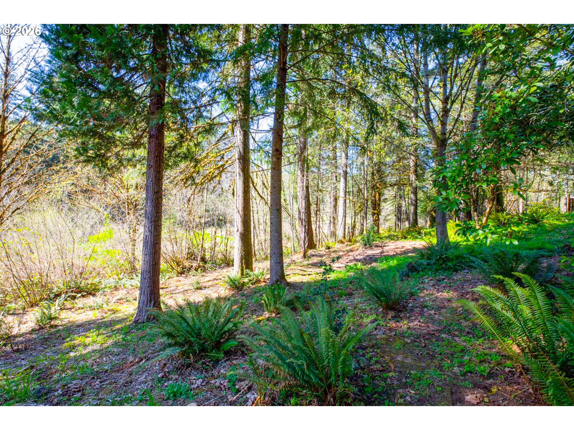 90280 Baker Road Elmira, OR 97437 - Photo 17 of 24