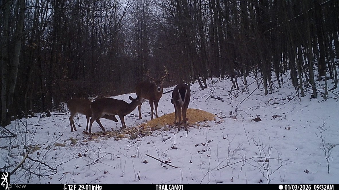 Marlott Run Road Kimbolton, OH 43749 - Photo 47 of 49