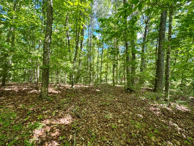 3 Rockridge Road Murphy, NC 28906 - Photo 8 of 13