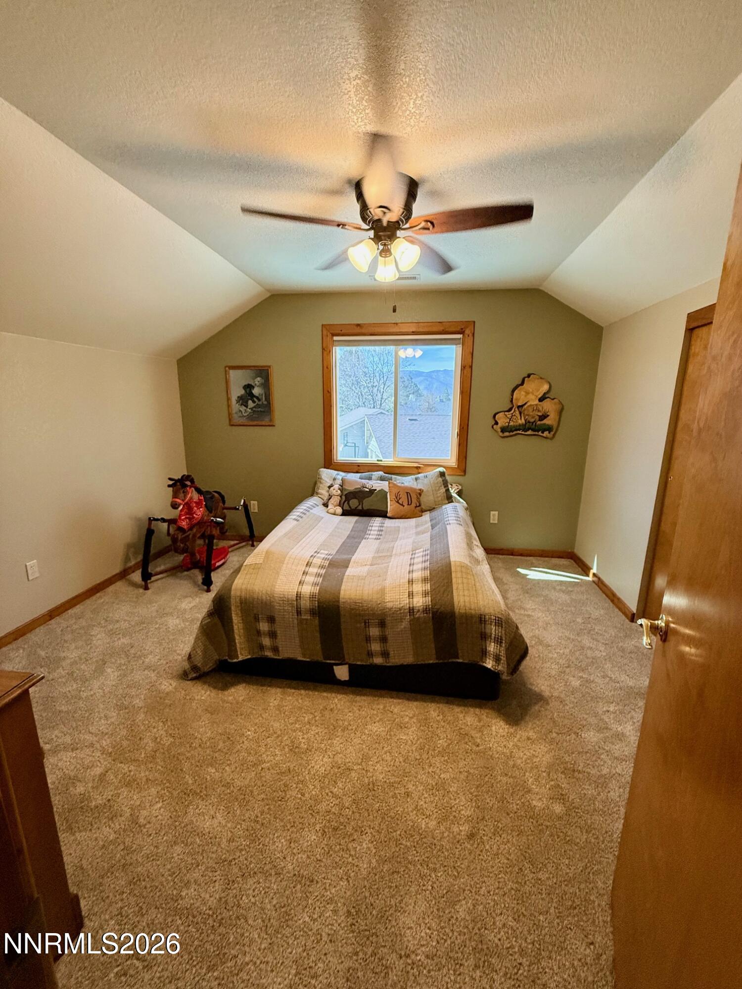 4734 Killdeer Road Carson City, NV 89701 - Photo 34 of 40 IMG_8870