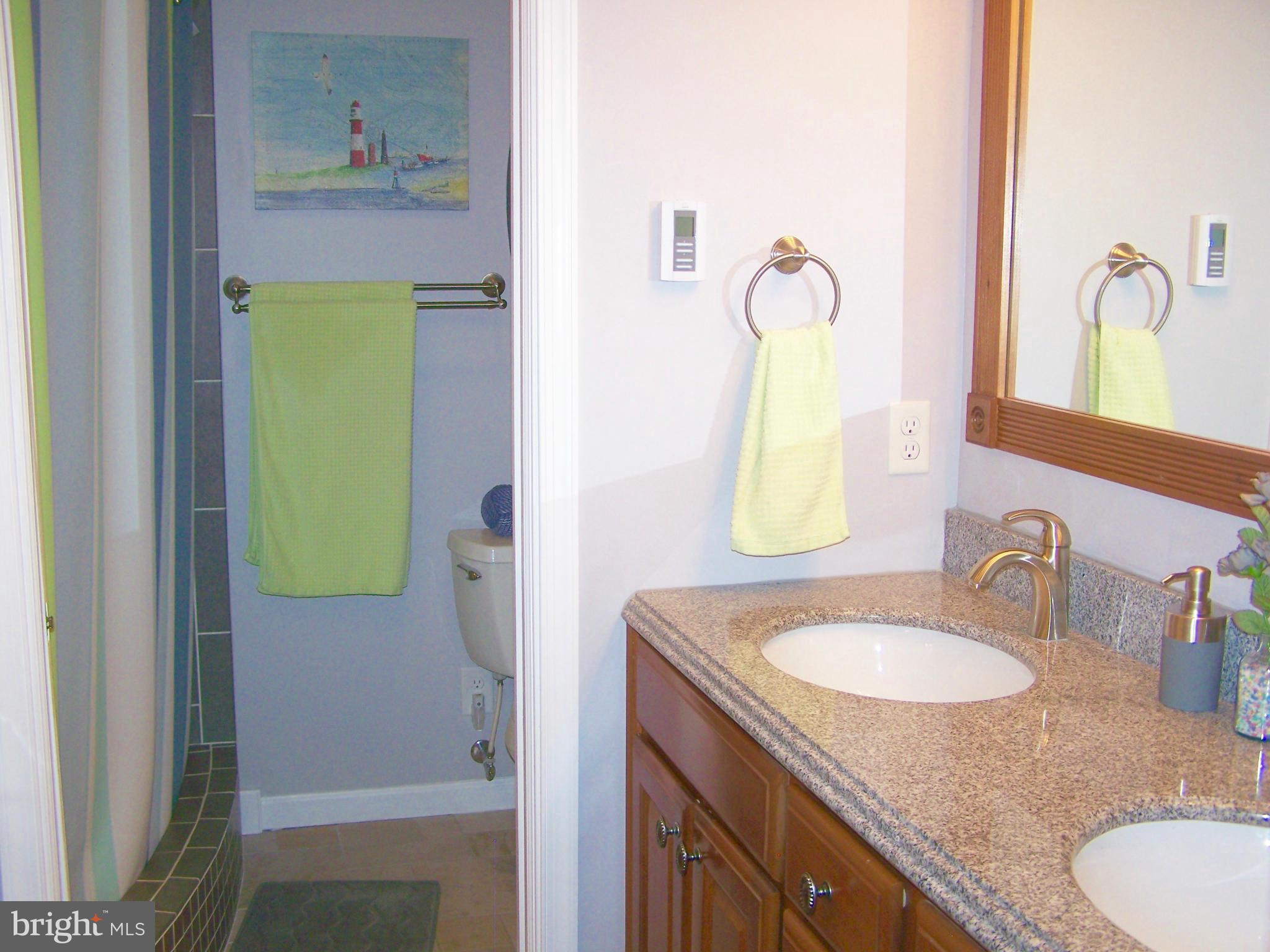 229 River Road Chestertown, MD 21620 - Photo 12 of 20 Bath (Master)