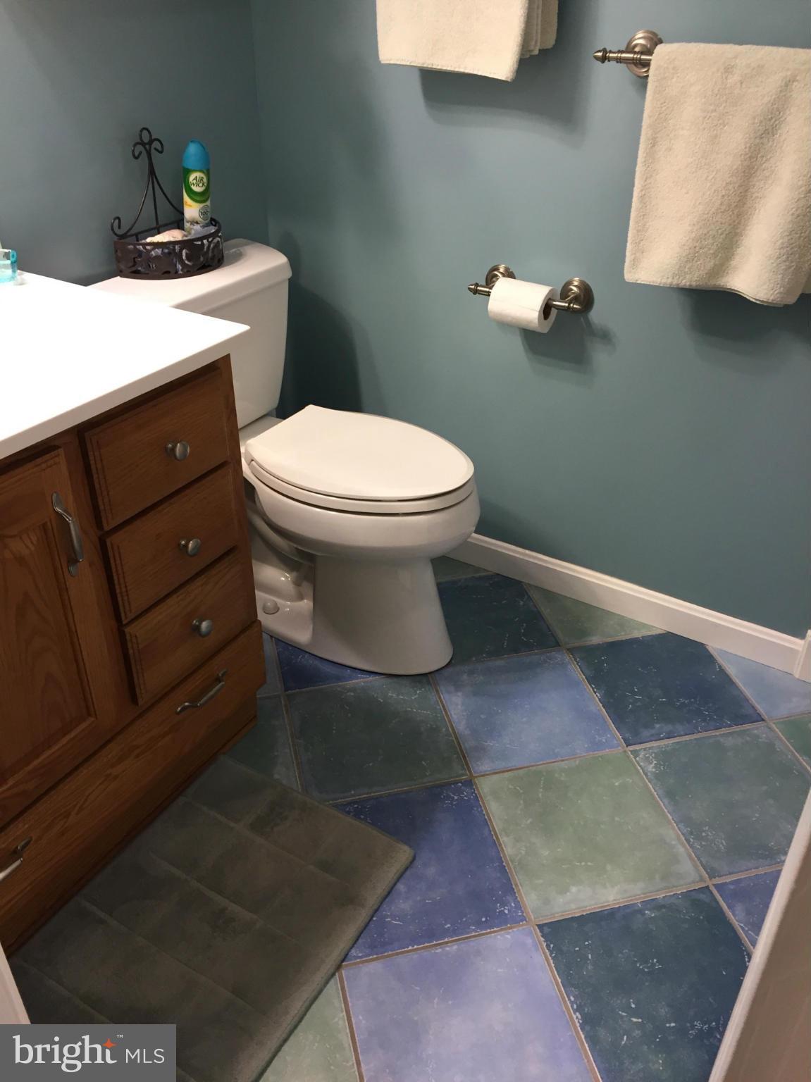 229 River Road Chestertown, MD 21620 - Photo 14 of 20 Bath