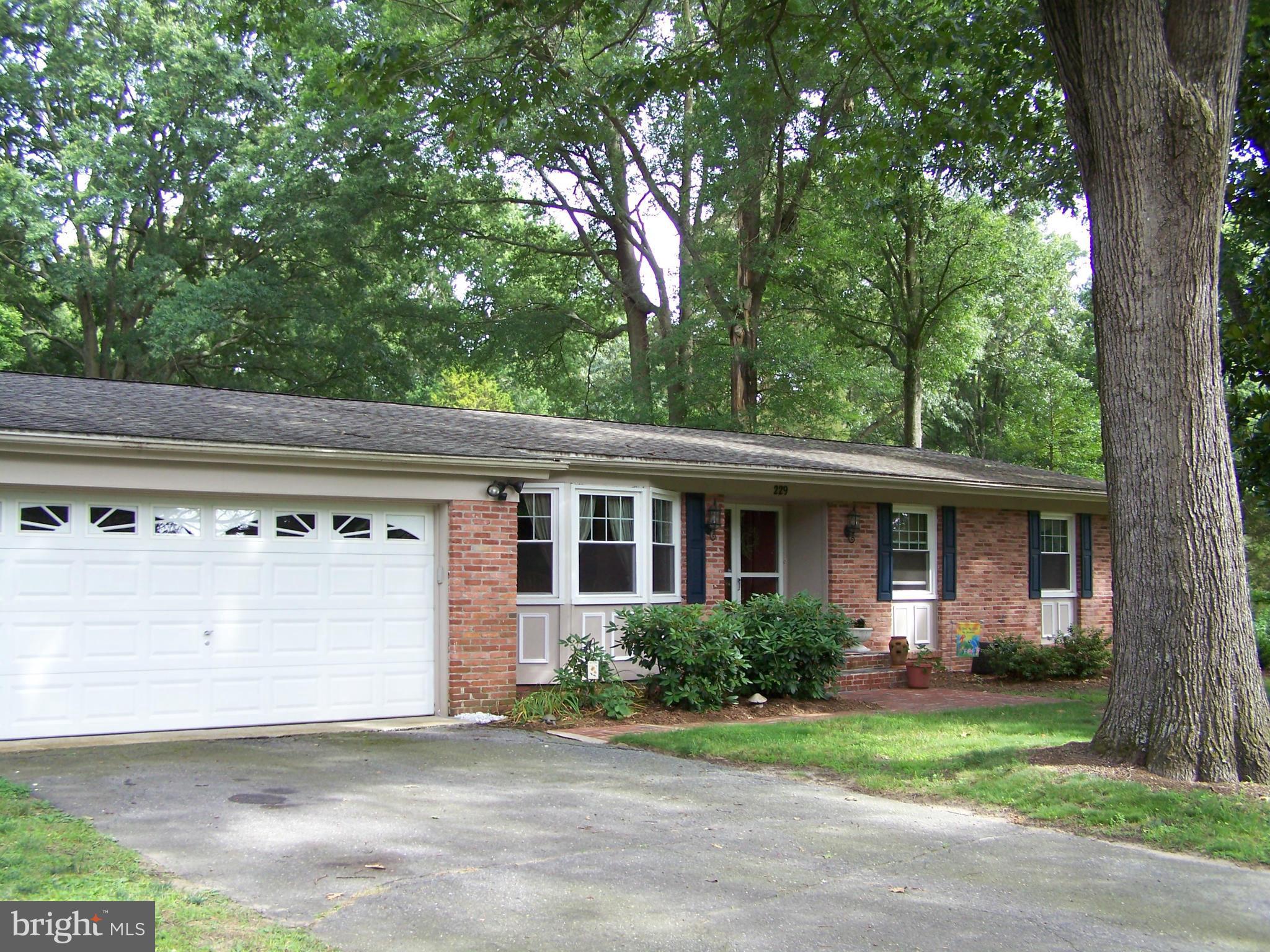 229 River Road Chestertown, MD 21620 - Photo 19 of 20 Exterior (Front)