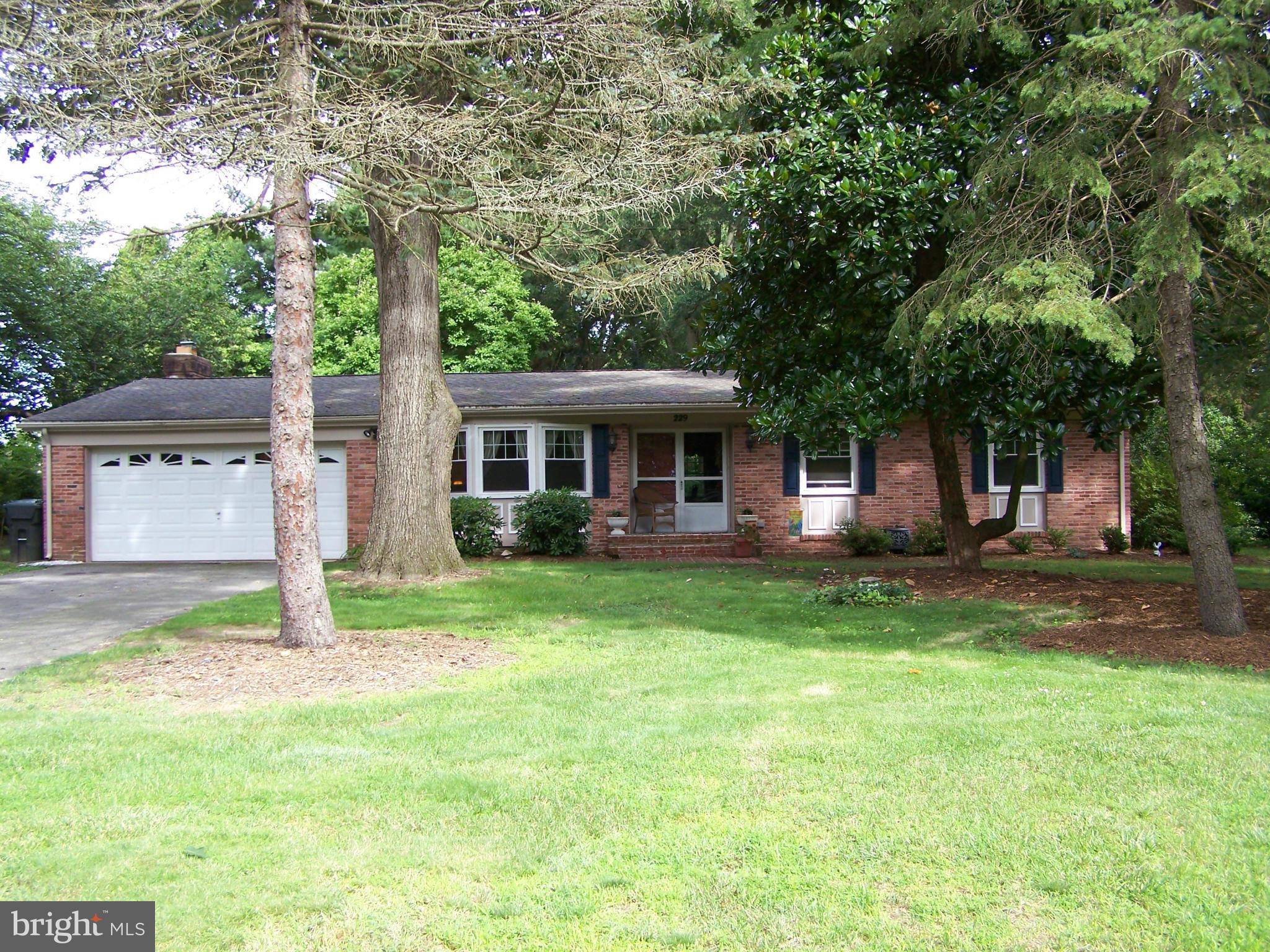 229 River Road Chestertown, MD 21620 - Photo 20 of 20 Exterior (Front)