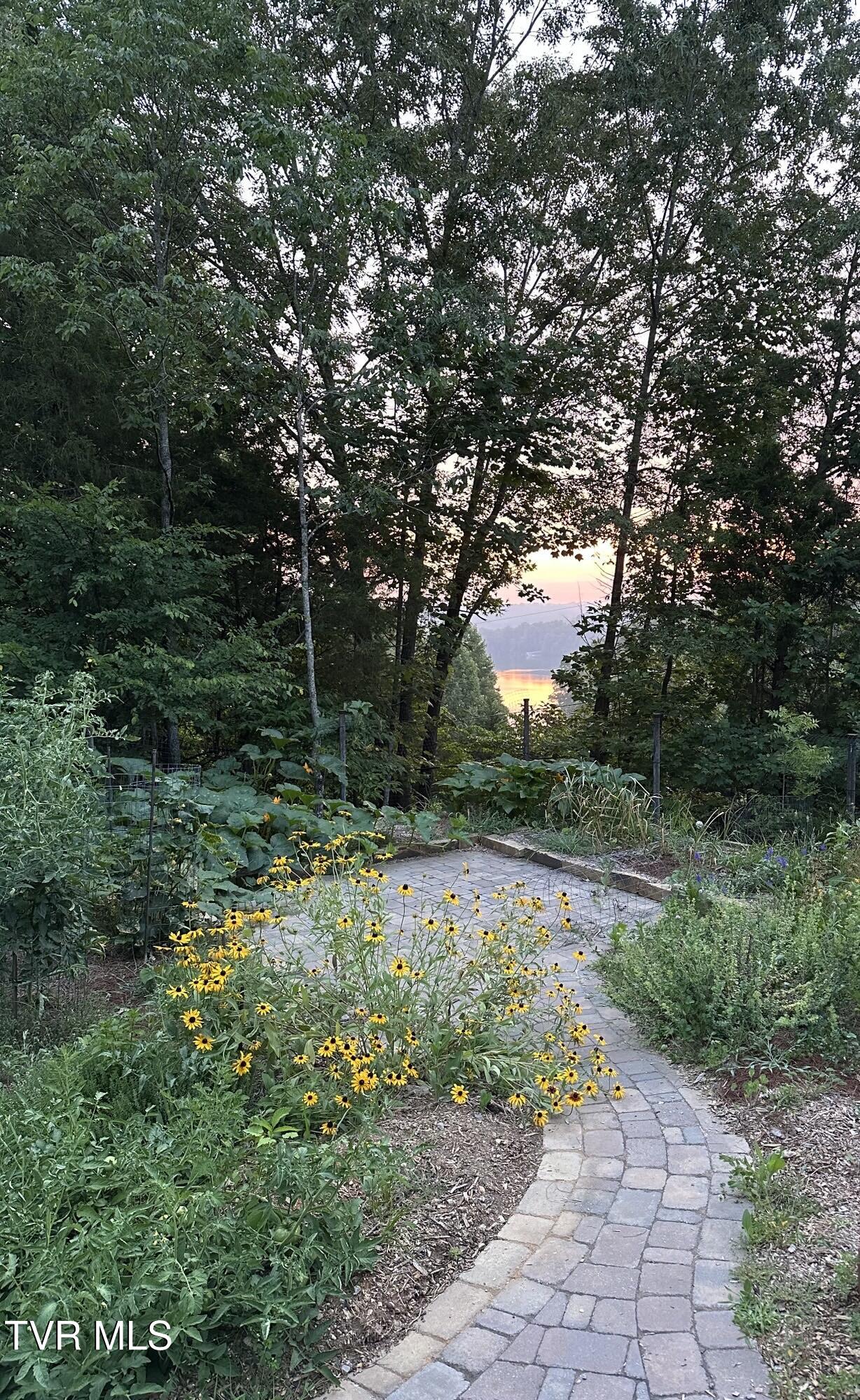 379 Hideaway Farm Road Piney Flats, TN 37686 - Photo 58 of 63 IMG_3822