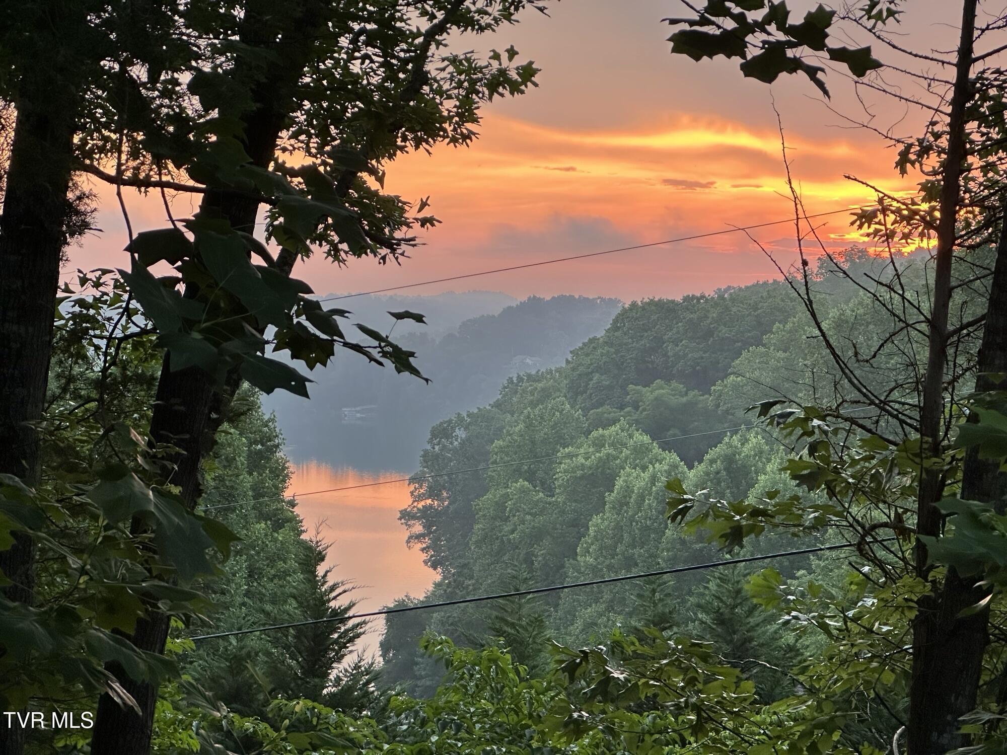 379 Hideaway Farm Road Piney Flats, TN 37686 - Photo 59 of 63 IMG_3830