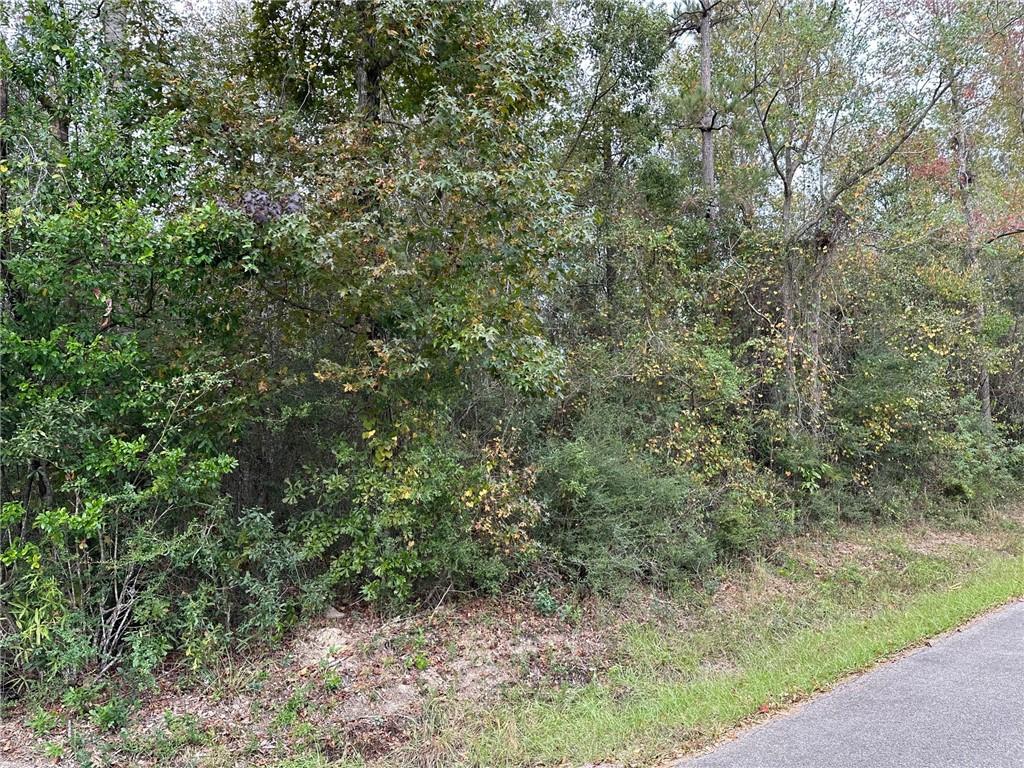 0 Schiro Road Covington, LA 70435 - Photo 3 of 6 Gallery Image 3