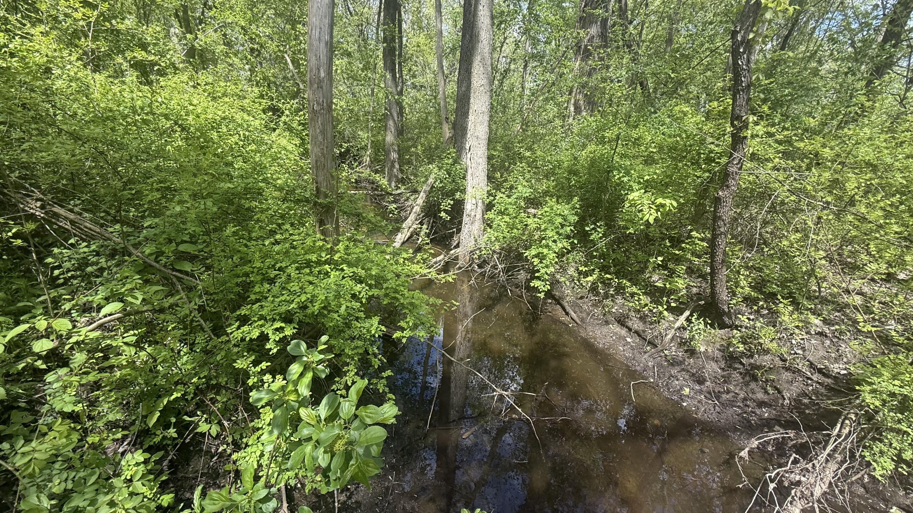 6 Bunkerhill Road Jackson, MI 49201 - Photo 15 of 23 IMG_5803