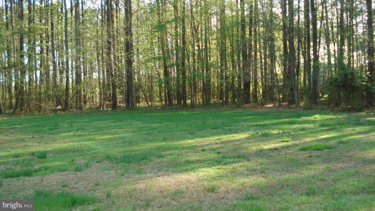 204 Talbot Road Stevensville, MD 21666 - Photo 6 of 9 Back yard