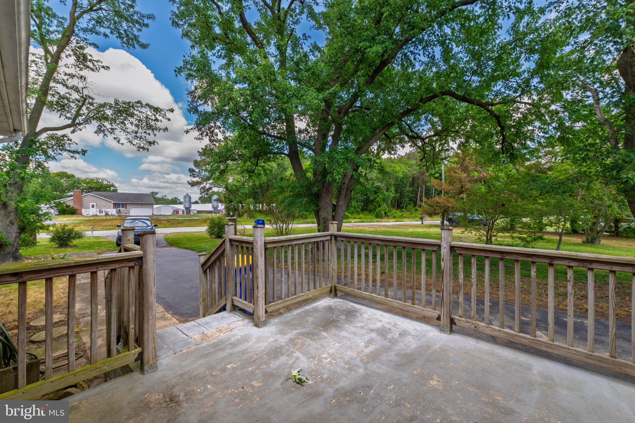 32517 Molly Field Road Dagsboro, DE 19939 - Photo 8 of 25 Tranquil porch with lush greenery.