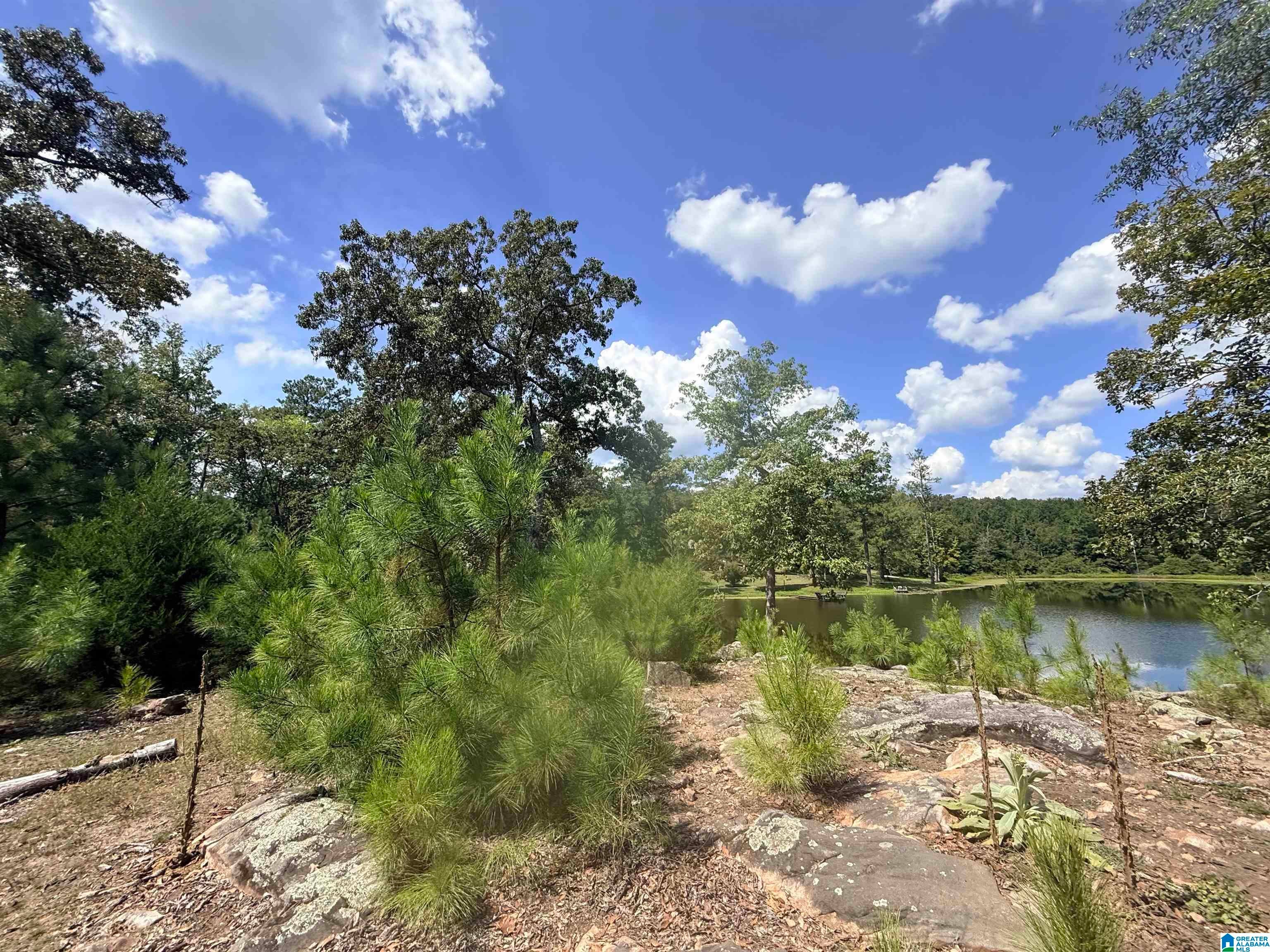 0 Rockyview Road West Blocton, AL 35184 - Photo 11 of 23 Gallery Image 11