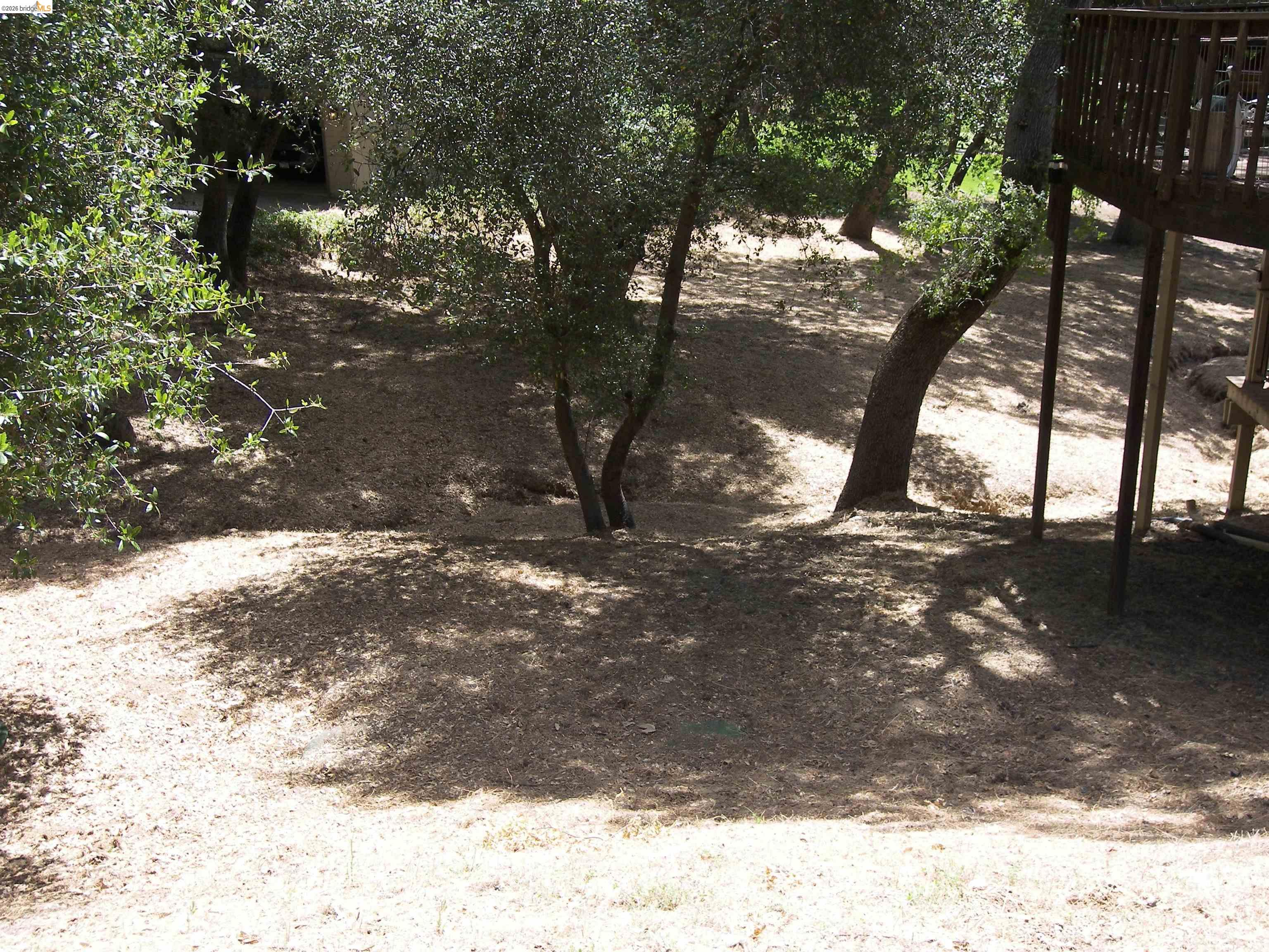 19215 Ferretti Road Groveland, CA 95321 - Photo 36 of 40 Wooded yard with mature trees