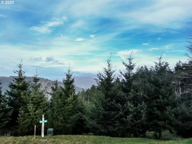 $95,000 | 98034 Crown Terrace, Brookings, OR 97415