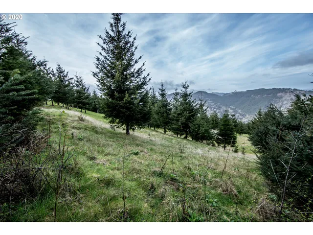 $95,000 | 98034 Crown Terrace, Brookings, OR 97415