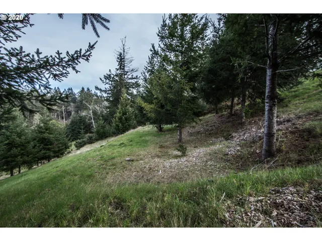 $95,000 | 98034 Crown Terrace, Brookings, OR 97415