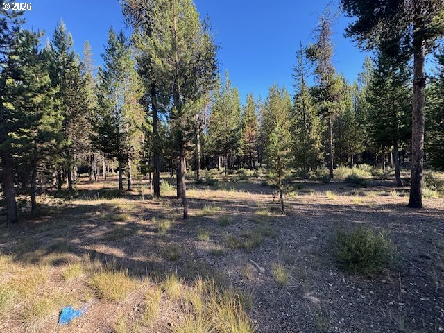 Bear Flat Road, Unit 100 Chemult, OR 97731 - Photo 7 of 22 Gallery Image 7