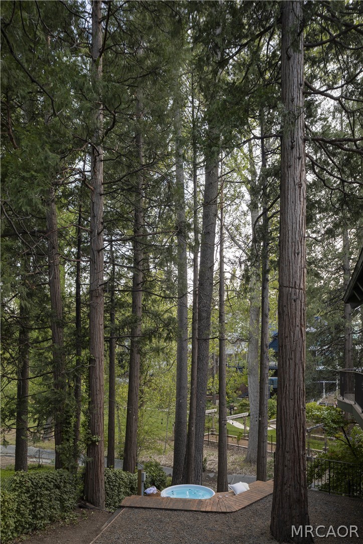 27643 West Shore Road, Unit 2 Lake Arrowhead, CA 92352 - Photo 25 of 28 a view of a city from a tree