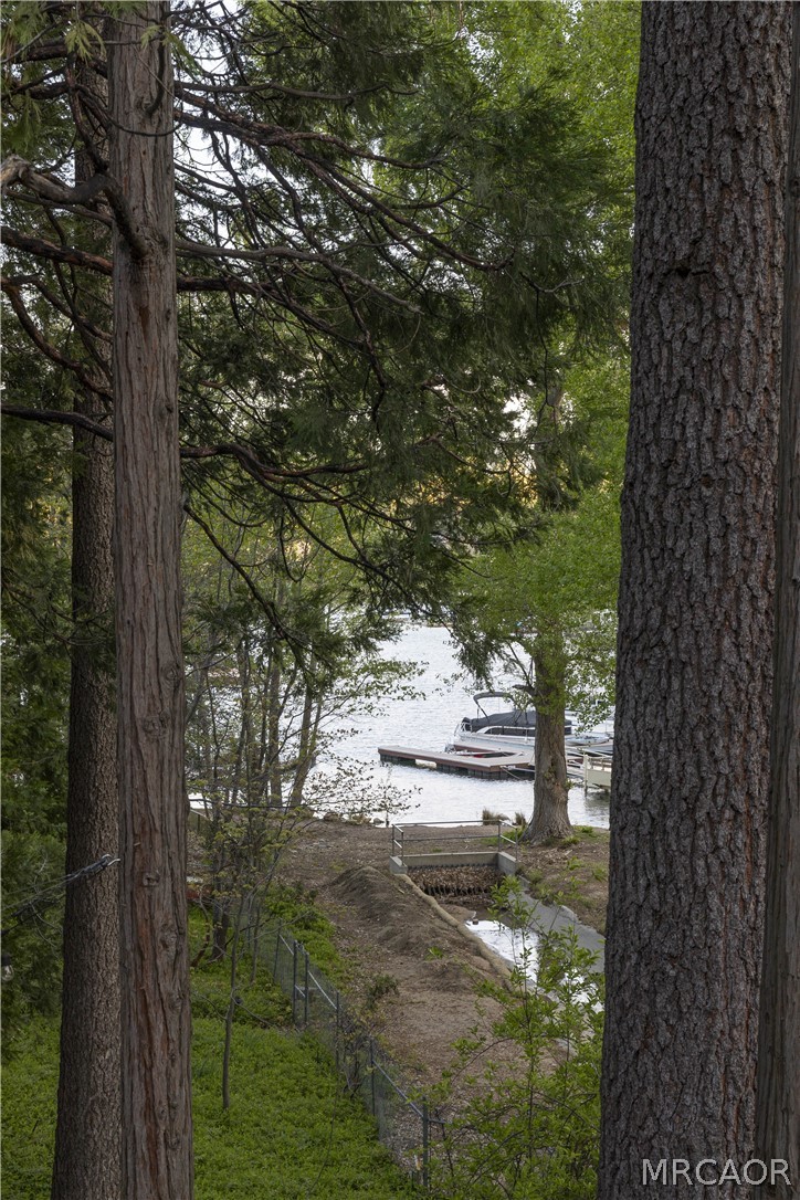 27643 West Shore Road, Unit 2 Lake Arrowhead, CA 92352 - Photo 27 of 28 a view of outdoor space and yard