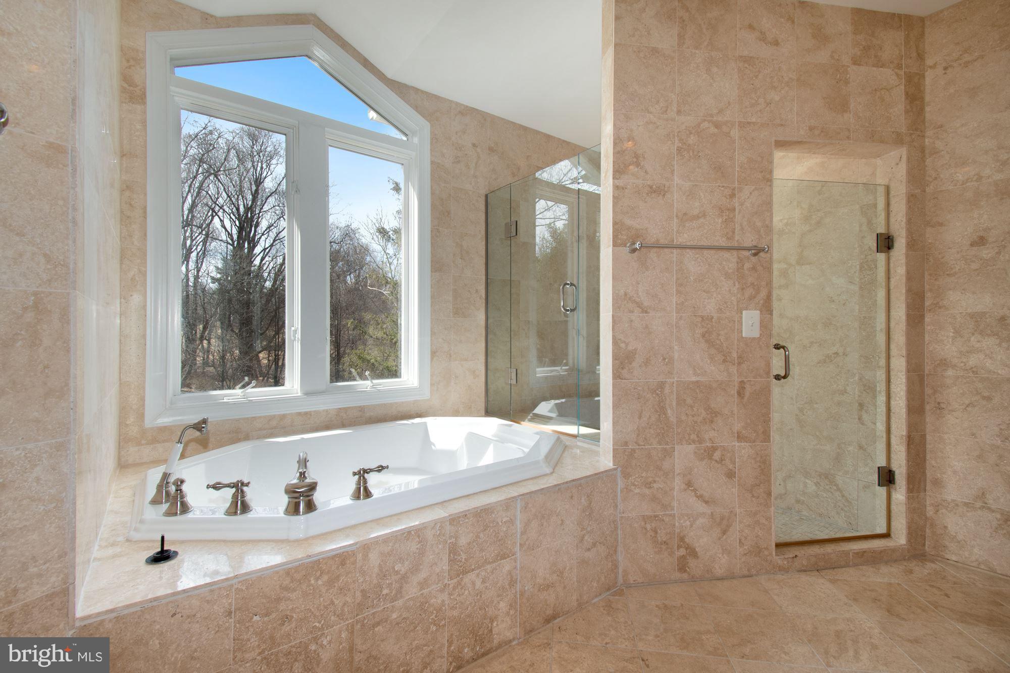 11261 South Glen Road Potomac, MD 20854 - Photo 28 of 55 Master Soaking Tub